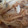 カクヨ's cooksnap of when they made ダイエット：すき焼き風白滝炒め.