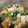クック9U9K02☆'s cooksnap of when they made 厚揚げと小松菜のミゾレ煮.