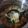 クックL0OSLU☆'s cooksnap of when they made 湯葉入りすまし汁@倉敷市学校給食.