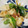 あんこだよ。's cooksnap of when they made 油揚げと九条ねぎのめんつゆ和え.