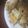 つえちょん's cooksnap of when they made 圧力鍋で超簡単☆鶏の手羽元と大根の甘辛煮.