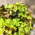 ˚✧₊⁎ゆう˚✧₊⁎'s cooksnap of when they made レタスと韓国海苔のパパっとおつまみサラダ.