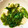 ˚✧₊⁎ゆう˚✧₊⁎'s cooksnap of when they made 小松菜と山芋のめかぶ和え.