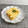 horseland's cooksnap of when they made 厚焼き卵.