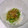 Meruu's cooksnap of when they made 大根とオクラの和え物.