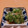 もんしゅしゅ's cooksnap of when they made 簡単料理♪【きゅうりの甘酢和え】.