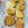 pand/aya's cooksnap of when they made サクサクかぼちゃクッキー.