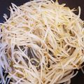 はるママしゃん's cooksnap of when they made シンプルもやし炒め.