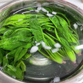 mari63☆'s cooksnap of when they made ほうれん草の基本の茹で方とお浸し.