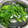 mari63☆'s cooksnap of when they made ほうれん草の基本の茹で方とお浸し.