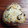 まやしゅうまま's cooksnap of when they made 塩昆布と桜エビのおにぎり.