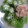 しおとも's cooksnap of when they made おくらの煮浸し.