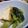 はらへり侍's cooksnap of when they made 小松菜と厚揚げのさっと煮.