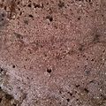 そにゃん's cooksnap of when they made 簡単おからパウダーレンジケーキノンオイル.