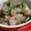 yumelon88's cooksnap of when they made 豚肉とナスとピーマンごま炒め.