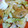 xyzクック's cooksnap of when they made キャベツとちくわの和風炒め.