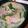3mamakuma's cooksnap of when they made ダシダ煮込みそうめん.