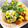 辰夫女子's cooksnap of when they made シンプルが美味しい！ほうれん草と卵の炒飯.