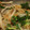 さぁ★たぁ★'s cooksnap of when they made ゜*。ニラともやしのなめ茸和え。*°.