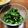 クック7Q7B4H☆'s cooksnap of when they made 大根(かぶ)の葉のよごし.