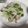 すけらっちょ's cooksnap of when they made 豚肉と玉ねぎの簡単マリネ.