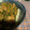 くみっくぅ☆'s cooksnap of when they made すたみなネギ塩豚丼(簡単).