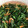 クック78R779☆'s cooksnap of when they made にらと桜エビのおひたし.