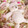 ★ままうえさま's cooksnap of when they made 大根おろしアート☆シロクマ熟睡中〜.