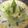 みりん調味料's cooksnap of when they made 無限！おつまみキャベツ.