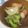 ぱにぱる's cooksnap of when they made ブロッコリーのしょうゆ味スープ.