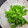 KAORU4649's cooksnap of when they made 【おつまみ】簡単！ししとうだけ炒め.