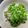 KAORU4649's cooksnap of when they made ご飯にぴったり！しし唐の塩ゴマふりかけ.