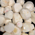 なるえり☆キッチン's cooksnap of when they made 里芋の皮のむき方.