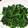 クックVOY1Q3☆'s cooksnap of when they made 簡単！3分 ほうれん草のナムル.