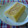 miffy77's cooksnap of when they made お弁当に白だしを使って手軽なだし巻き卵.