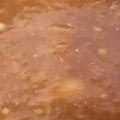 クックHCRZI5☆'s cooksnap of when they made ハングリータイガー風のソース.