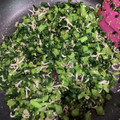 ヨガ愛好家's cooksnap of when they made 簡単❤冬場の常備菜☆大根の葉のじゃこ炒め.