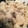 TeaMuffin's cooksnap of when they made 炊き込みご飯　黄金比率　おいしい　簡単.