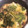 クック244あさる's cooksnap of when they made 簡単☆白菜と豚バラの重ね蒸し焼き.