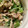 しばーちゃん's cooksnap of when they made ダイエットに◎鯖缶とオクラの梅わさ和え.