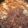 クックJY5Y4L☆'s cooksnap of when they made ダイエット食！白菜と鶏肉のトマト煮込み.