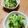 メルティローズ's cooksnap of when they made お義母さんの味･ウマウマキャベツ.