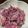 もものすけのまま's cooksnap of when they made 紅芯大根とホタテ缶詰のサラダ.