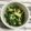 ひろみつばち's cooksnap of when they made 小松菜の辛子だし和え.