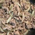 クックTCTUS1☆'s cooksnap of when they made 豚こま肉で節約！みんな大好き生姜焼き.