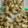 はなぴっち's cooksnap of when they made 栗が驚くほど甘くなる保存方法.