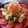 喜八＆Hacchi's cooksnap of when they made アボカドとトマトの大根おろしポン酢和え.