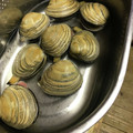 クックZOPS5F☆'s cooksnap of when they made 簡単にしっかり抜ける！あさりの砂抜き　.