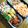 ごはん好きパンも好き's cooksnap of when they made 高校2年女子お弁当♥2021.11.04.