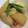 Bびー's cooksnap of when they made 鶏皮と大根とさつまいもの煮物.